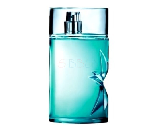 Купить Аромат Mugler Ice*Men Туалетная вода