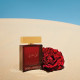 Купить Аромат Dolce & Gabbana The One Mysterious Night Парфюмерная вода