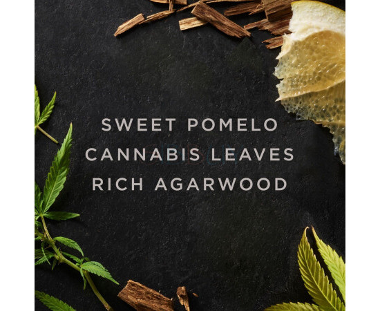 Купить Аромат Avon Artisan Cannabis Oud Парфюмерная вода