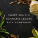 Купить Аромат Avon Artisan Cannabis Oud Парфюмерная вода