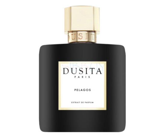 Купить Аромат Parfums Dusita Pelagos Духи / Экстракт