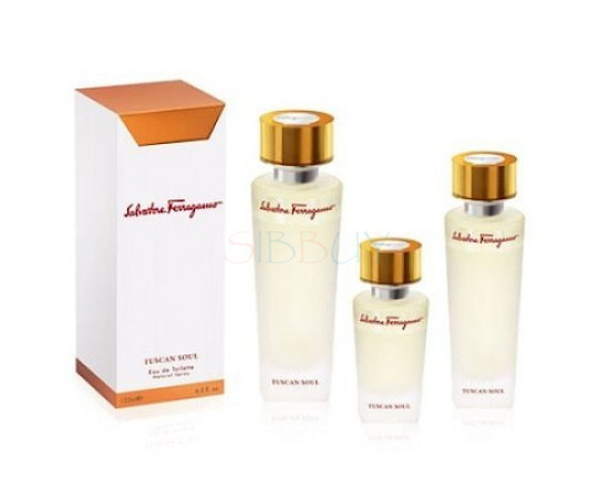 Купить Аромат Salvatore Ferragamo Tuscan Soul Туалетная вода