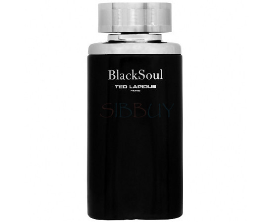 Купить Аромат Ted Lapidus Black Soul Туалетная вода