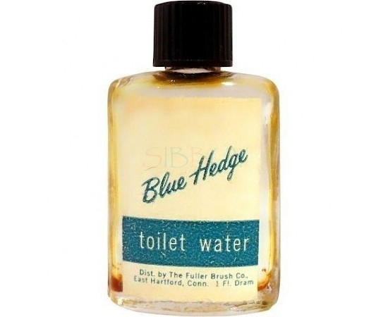 Купить Аромат The Fuller Brush Co. Blue Hedge