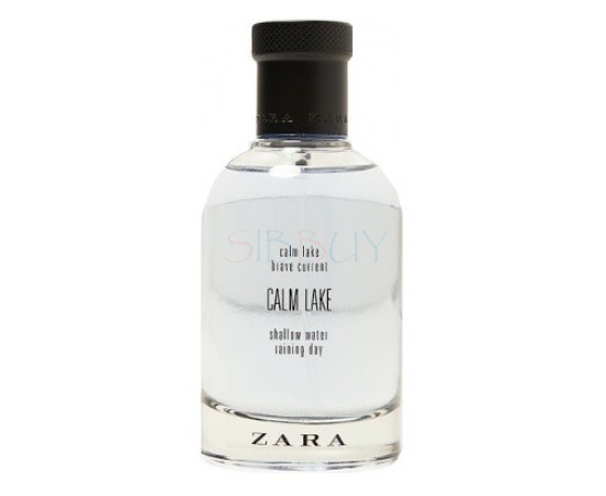 Купить Аромат Zara Calm Lake Туалетная вода