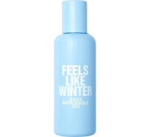 Аромат Zara Zara Improbable - 005 Feels Like Winter Туалетная вода
