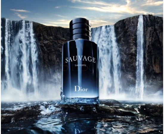 Купить Аромат Dior Sauvage Eau Forte Парфюмерная вода