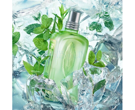 Купить Аромат L`Occitane en Provence Verveine Menthe Туалетная вода