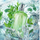 Купить Аромат L`Occitane en Provence Verveine Menthe Туалетная вода