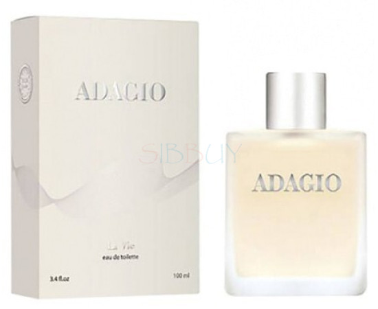 Купить Аромат Dilis Parfum Adagio Туалетная вода