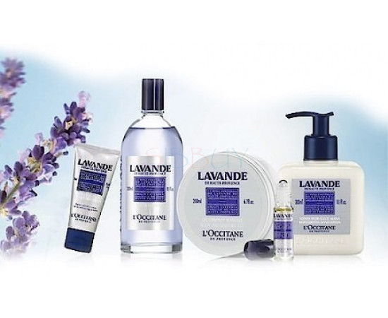 Купить Аромат L`Occitane en Provence Lavande Одеколон