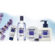 Купить Аромат L`Occitane en Provence Lavande Одеколон