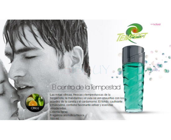 Купить Аромат Avon Tempest