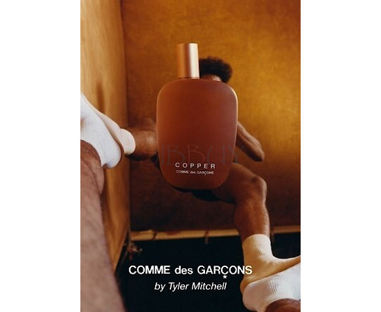 Купить недорого Аромат Comme des Garçons Parfums Copper Парфюмерная вода