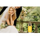 Купить недорого Аромат Estée Lauder Beautiful Парфюмерная вода
