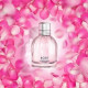 Купить недорого Аромат L`Occitane en Provence Rose 2018 Туалетная вода