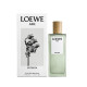 Купить недорого Аромат Loewe Aire Sutileza Туалетная вода