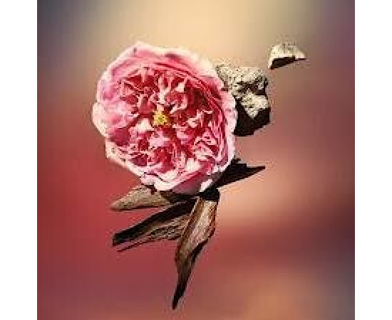 Купить недорого Аромат Louis Vuitton Les Sables Roses Парфюмерная вода