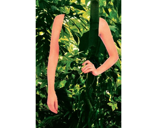 Купить недорого Аромат Maison Martin Margiela Soul of The Forest Парфюмерная вода