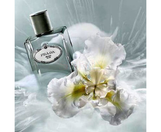 Купить недорого Аромат Prada Infusion dIris Cedre Парфюмерная вода