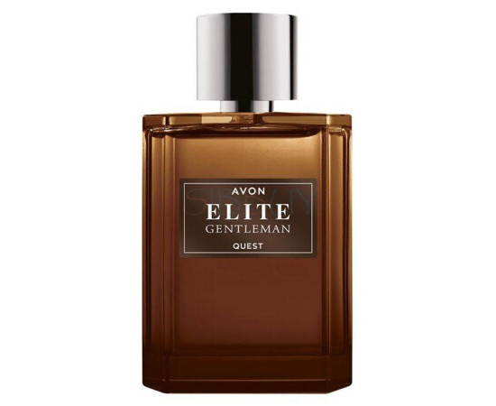 Купить Аромат Avon Elite Gentleman Quest Парфюмерная вода