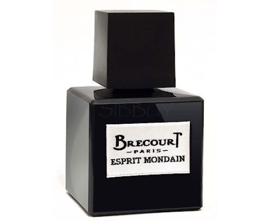 Купить Аромат Brecourt Esprit Mondain Парфюмерная вода