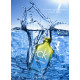 Купить Аромат Calvin Klein CK One Summer (2009) Туалетная вода