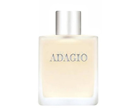 Купить Аромат Dilis Parfum Adagio Туалетная вода
