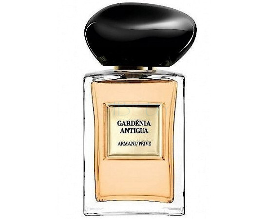 Купить Аромат Giorgio Armani Gardenia Antigua Туалетная вода