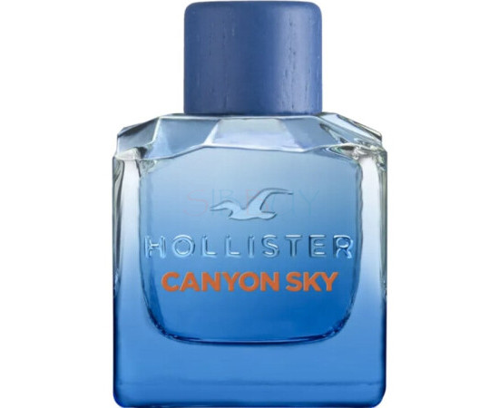 Купить Аромат Hollister Canyon Sky for Him Туалетная вода