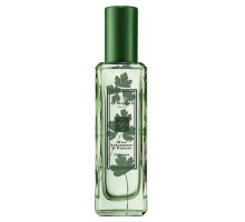 Аромат Jo Malone Wild Strawberry & Parsley Одеколон