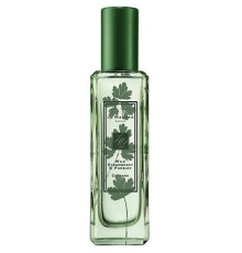 Аромат Jo Malone Wild Strawberry & Parsley Одеколон