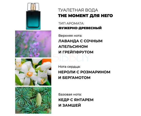 Купить Аромат Avon Today Tomorrow Always The Moment Him Туалетная вода