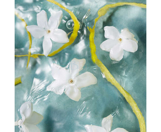 Купить Аромат Oriflame Nordic Waters for Her Парфюмерная вода