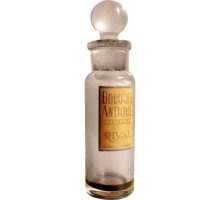 Аромат Rival Bouquet Antique