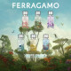 Купить Аромат Salvatore Ferragamo Cieli di Seta Парфюмерная вода
