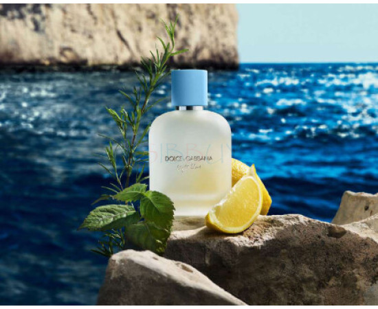Купить Аромат Dolce & Gabbana Light Blue Pour Homme 2025 Туалетная вода