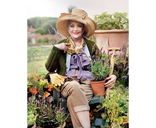 Купить Аромат Jo Malone Sorrel & Lemon Thyme Одеколон