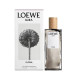 Купить Аромат Loewe Loewe Aura Floral Парфюмерная вода