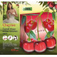 Купить Аромат Oriflame Cherries Туалетная вода