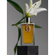 Купить Аромат Rabanne Midnight Sex Парфюмерная вода
