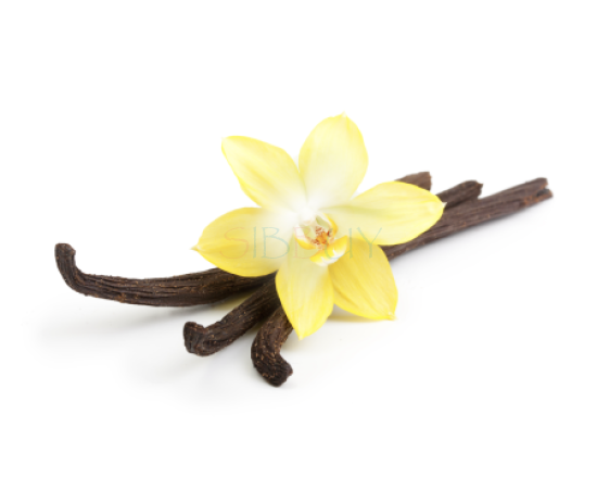 Купить Аромат Yves Rocher Vanille d’Orchidee Туалетная вода