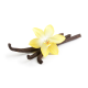 Купить Аромат Yves Rocher Vanille d’Orchidee Туалетная вода
