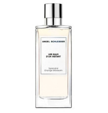 Аромат Angel Schlesser Splendid Orange Blossom Туалетная вода