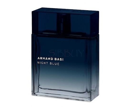 Купить недорого Аромат Armand Basi Night Blue Туалетная вода