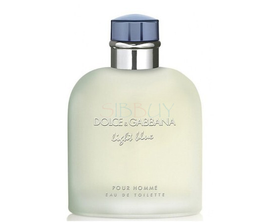 Купить недорого Аромат Dolce & Gabbana Light Blue Pour Homme Туалетная вода