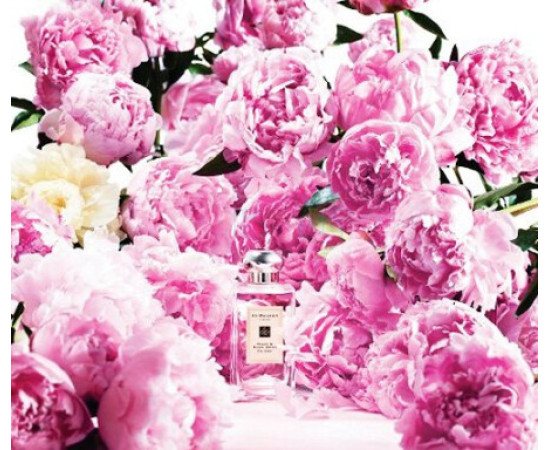 Купить недорого Аромат Jo Malone Peony & Blush Suede Одеколон