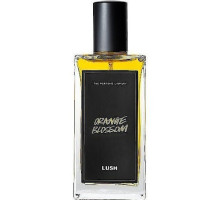 Аромат Lush Orange Blossom Туалетная вода