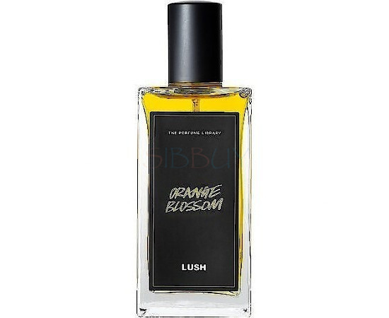 Купить недорого Аромат Lush Orange Blossom Туалетная вода