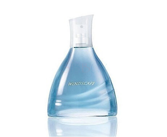 Купить Аромат Avon Windscape for Him Туалетная вода